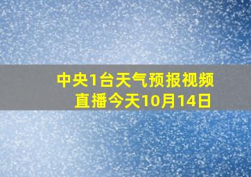 中央1台天气预报视频直播今天10月14日