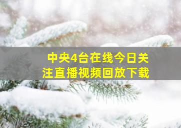 中央4台在线今日关注直播视频回放下载