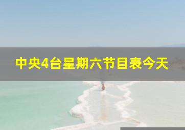 中央4台星期六节目表今天