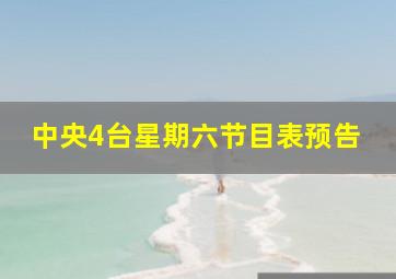 中央4台星期六节目表预告