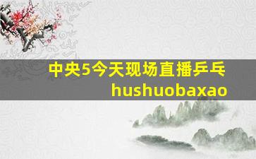 中央5今天现场直播乒乓hushuobaxao