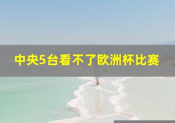 中央5台看不了欧洲杯比赛