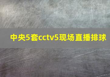 中央5套cctv5现场直播排球