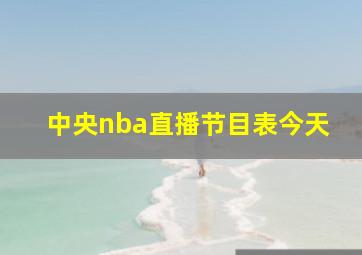 中央nba直播节目表今天