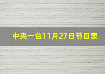 中央一台11月27日节目表