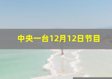 中央一台12月12日节目