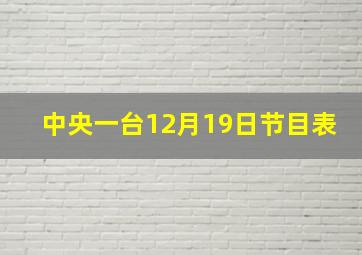 中央一台12月19日节目表