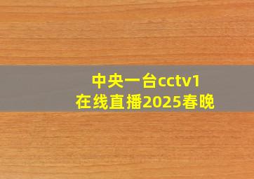 中央一台cctv1在线直播2025春晚