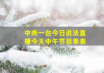 中央一台今日说法直播今天中午节目单表