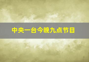 中央一台今晚九点节目