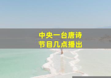 中央一台唐诗节目几点播出