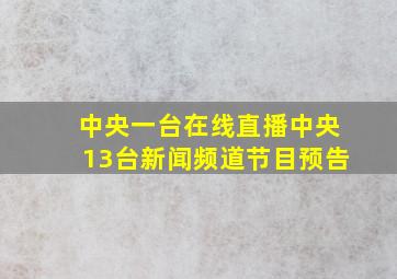 中央一台在线直播中央13台新闻频道节目预告