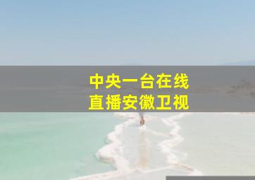 中央一台在线直播安徽卫视