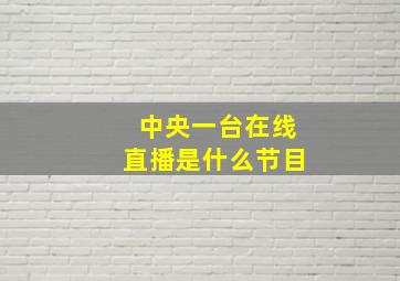 中央一台在线直播是什么节目