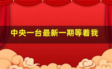 中央一台最新一期等着我