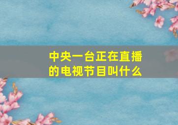 中央一台正在直播的电视节目叫什么