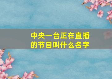 中央一台正在直播的节目叫什么名字