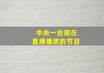 中央一台现在直播播放的节目