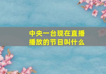 中央一台现在直播播放的节目叫什么