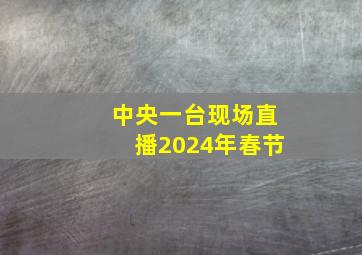 中央一台现场直播2024年春节