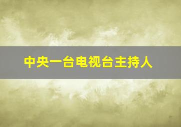 中央一台电视台主持人