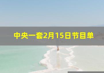 中央一套2月15日节目单