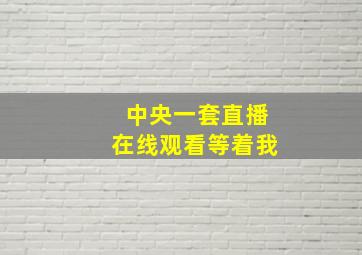 中央一套直播在线观看等着我