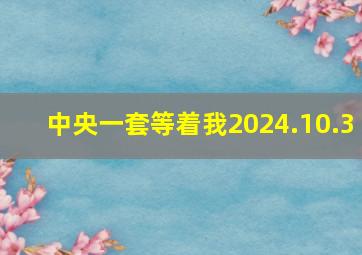 中央一套等着我2024.10.3