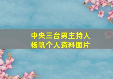 中央三台男主持人杨帆个人资料图片