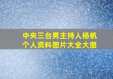 中央三台男主持人杨帆个人资料图片大全大图