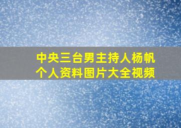 中央三台男主持人杨帆个人资料图片大全视频