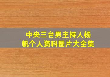 中央三台男主持人杨帆个人资料图片大全集