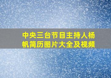 中央三台节目主持人杨帆简历图片大全及视频