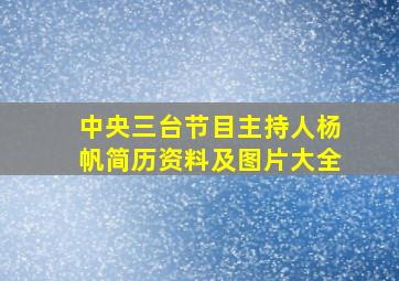 中央三台节目主持人杨帆简历资料及图片大全