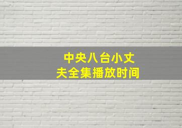 中央八台小丈夫全集播放时间