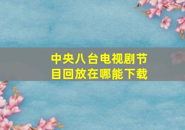 中央八台电视剧节目回放在哪能下载