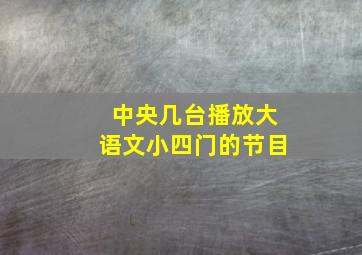 中央几台播放大语文小四门的节目