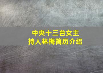 中央十三台女主持人林梅简历介绍