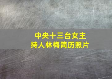 中央十三台女主持人林梅简历照片