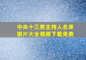 中央十三男主持人名单图片大全视频下载免费