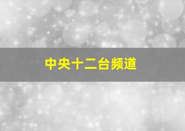 中央十二台频道