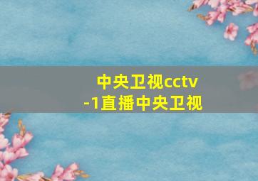 中央卫视cctv-1直播中央卫视