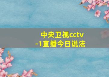 中央卫视cctv-1直播今日说法