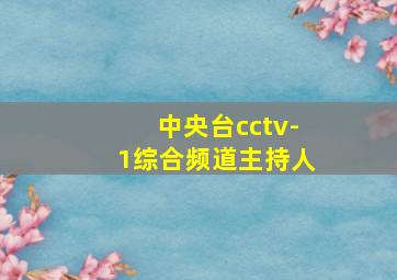 中央台cctv-1综合频道主持人