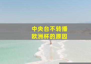 中央台不转播欧洲杯的原因