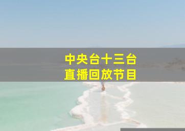 中央台十三台直播回放节目