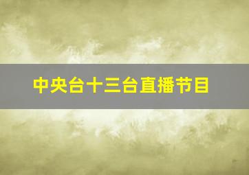 中央台十三台直播节目