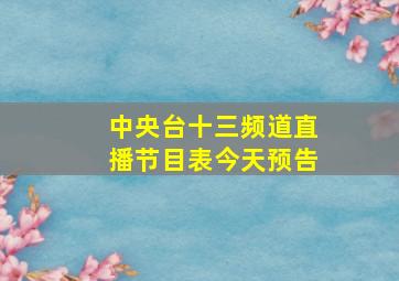 中央台十三频道直播节目表今天预告