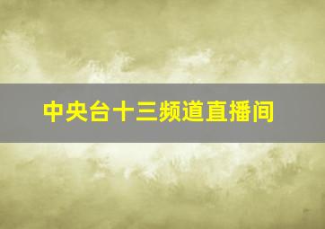 中央台十三频道直播间