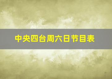 中央四台周六日节目表